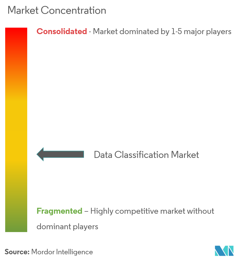 Data Classification Market Concentration Amazon Web Services, Inc., Boldon James Ltd (QinetiQ), IBM Corporation, Microsoft Corporation, Broadcom Inc. (Symantec Corporation)